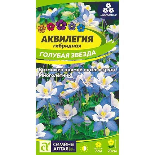 Аквилегия Голубая звезда Семена Алтая