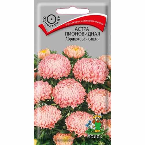 Астра Абрикосовая башня Поиск