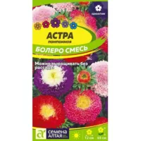 Астра Болеро