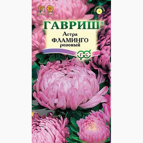 Астра Фламинго розовый Гавриш
