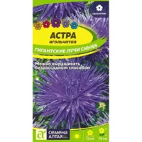 Астра Гигантские лучи синяя Семена Алтая