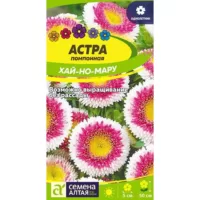 Астра Хай-но-мару Семена Алтая