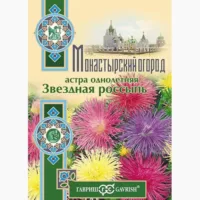 Астра игольчатая Звездная россыпь