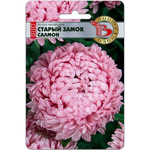 Астра китайская Старый замок селект Салмон Биотехника