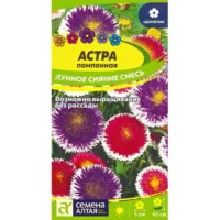 Астра Лунное сияние