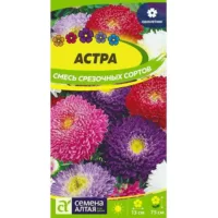 Астра Смесь срезочных сортов