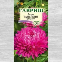 Астра Танечкин букет Гавриш