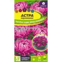 Астра Тысяча чудес