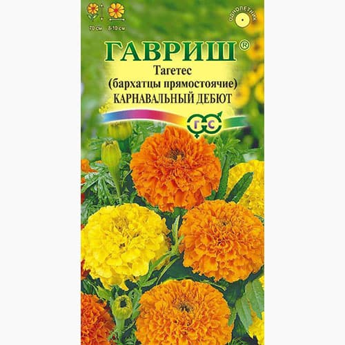 Бархатцы отклоненные (тагетес) Креста Голд Гавриш
