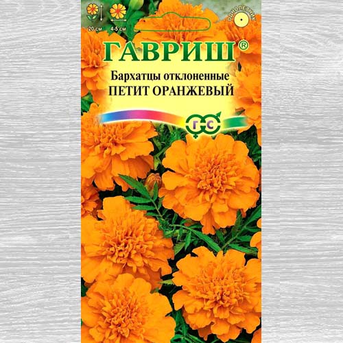 Бархатцы Петит оранжевый Гавриш