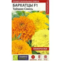 Бархатцы Тайшан