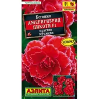 Бегония Америгибрид Пикоти красное кружево F1 Аэлита