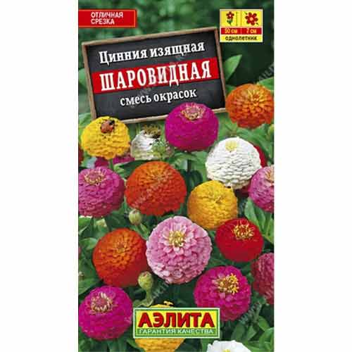 Цинния изящная Шаровидная