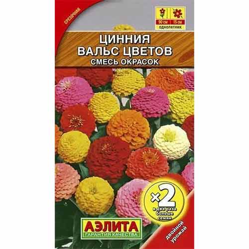 Цинния изящная Вальс цветов