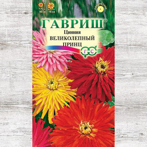 Цинния Великолепный Принц