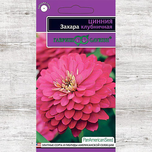 Цинния Захара клубничная Гавриш