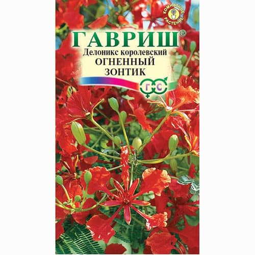 Делоникс королевский Огненный зонтик Гавриш
