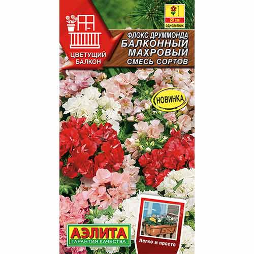 Флокс друммонда Балконный махровый