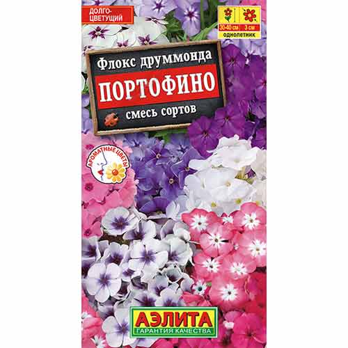 Флокс друммонда Портофино