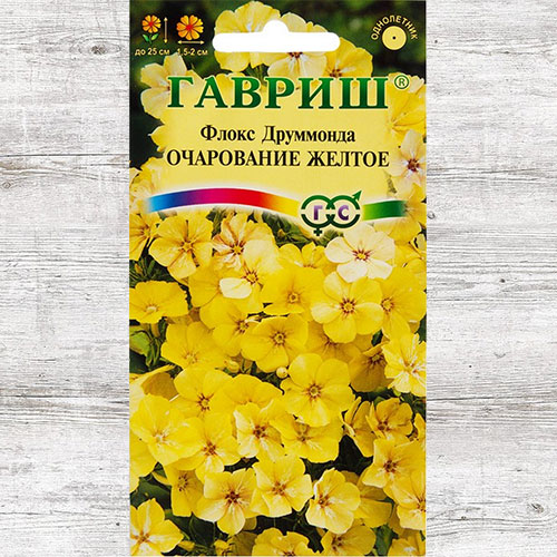 Флокс Друммонда Очарование желтое Гавриш