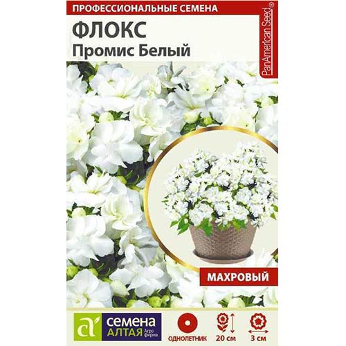 Флокс Друммонда Промис белый Семена Алтая