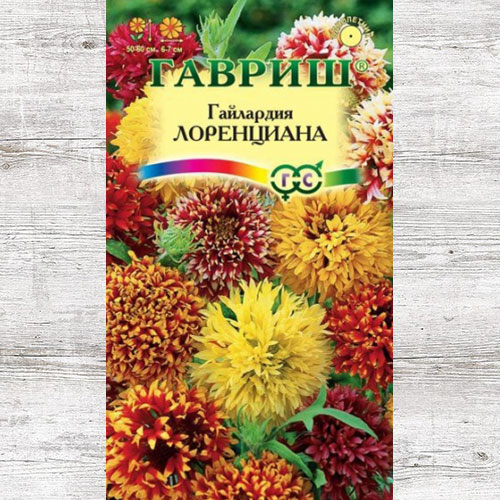 Гайлардия Лоренциана