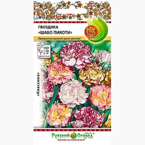 Гвоздика Шабо Пикоти