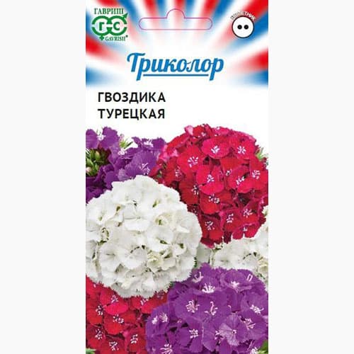 Гвоздика (турецкая) бородатая Триколор