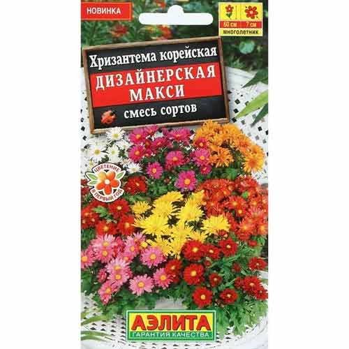 Хризантема корейская Дизайнерская макси