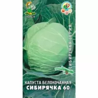 Капуста белокочанная Сибирячка 60