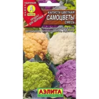 Капуста цветная Самоцветы