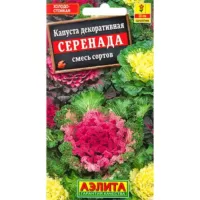 Капуста декоративная Серенада