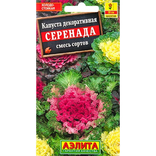 Капуста декоративная Серенада