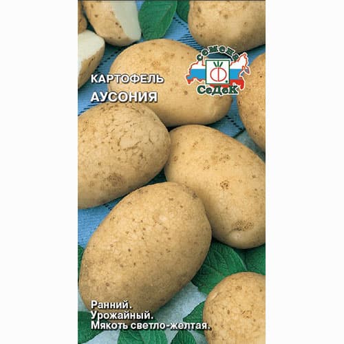 Картофель Аусония Седек