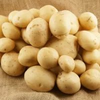 Картофель Ласунок