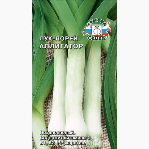 Лук порей Аллигатор Седек