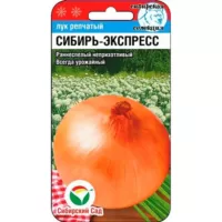 Лук репчатый Сибирь-экспресс Сибирский сад