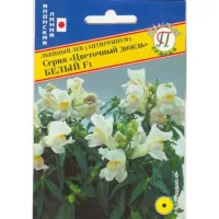 Антирринум (львиный зев) Цветочный дождь F1