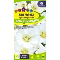 Малопа Белая фантазия Семена Алтая