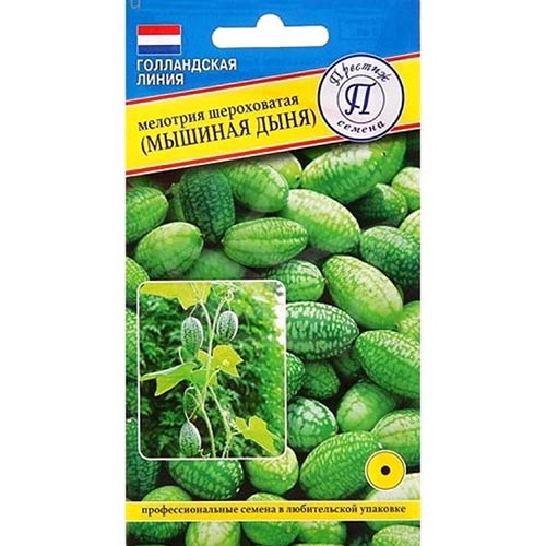 Мелотрия шероховатая Престиж