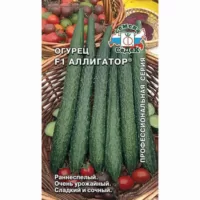 Огурец Аллигатор F1 Седек
