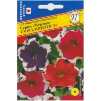 Петуния Мерлин Смесь пикоти F1