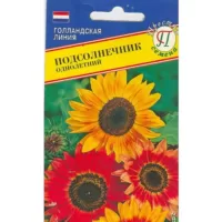 Подсолнечник декоративный