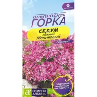 Седум Малиновый Семена Алтая