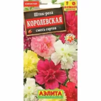 Шток-роза Королевская