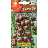 Томат Диковинка Аэлита