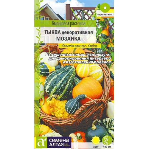 Тыква декоративная Мозаика
