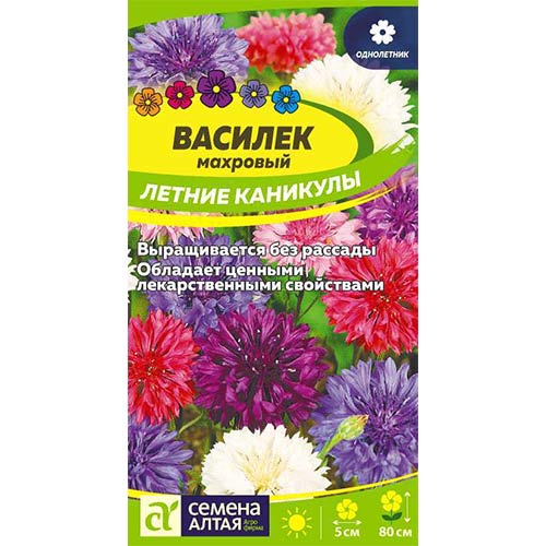Василек Летние каникулы