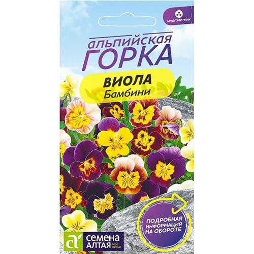 Виола Бамбини