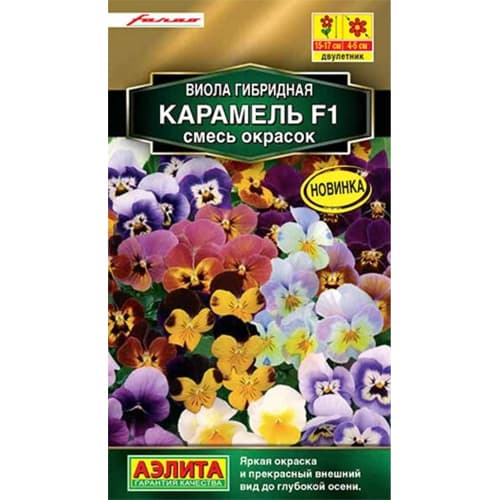 Виола гибридная Карамель F1